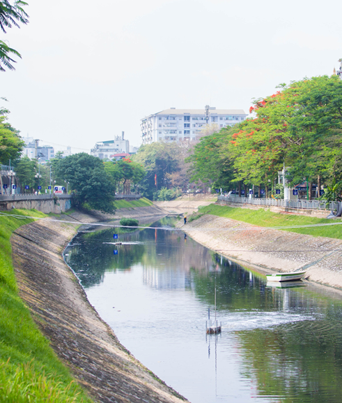 Tìm thần dược hồi sinh một dòng sông