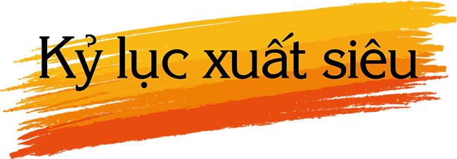 Bức tranh kinh tế Việt Nam 2019: Những nét chấm phá đặc sắc nhất