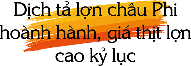 Bức tranh kinh tế Việt Nam 2019: Những nét chấm phá đặc sắc nhất