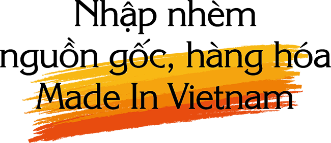 Bức tranh kinh tế Việt Nam 2019: Những nét chấm phá đặc sắc nhất