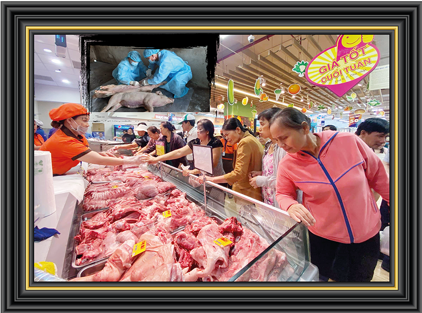 Bức tranh kinh tế Việt Nam 2019: Những nét chấm phá đặc sắc nhất