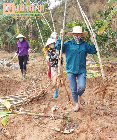 Sơn Lôi đã có 20 ngày cách ly, chống dịch thành công như thế