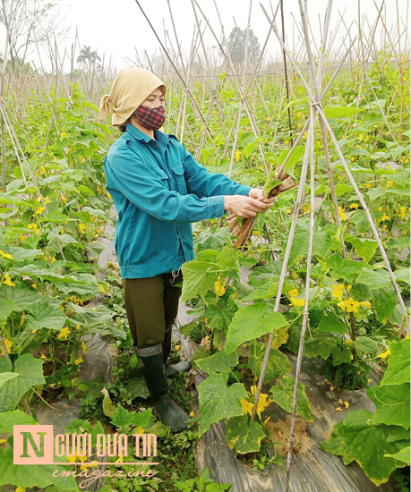 Sơn Lôi đã có 20 ngày cách ly, chống dịch thành công như thế