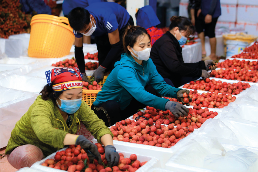 Mong sớm đẩy lùi dịch bệnh...