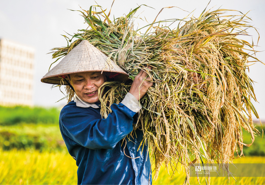 Bộ trưởng Nguyễn Chí Dũng