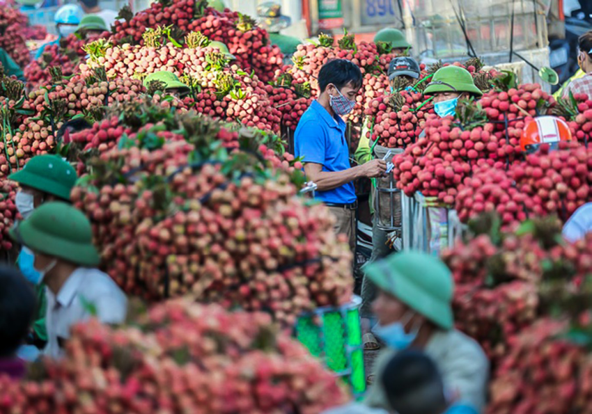 huyện Lục Ngạn, Bắc Giang