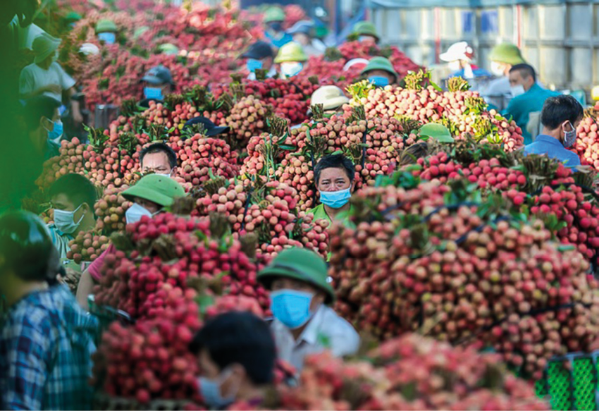 huyện Lục Ngạn, Bắc Giang