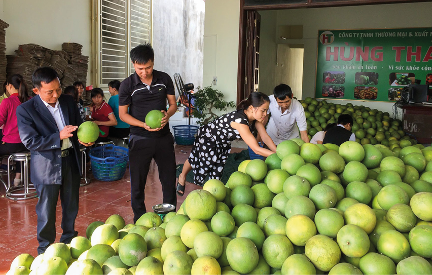 huyện Lục Ngạn, Bắc Giang