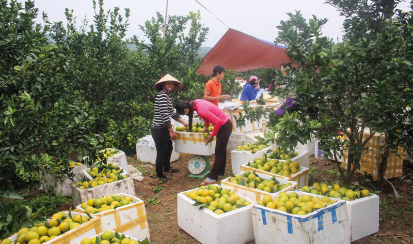 huyện Lục Ngạn, Bắc Giang