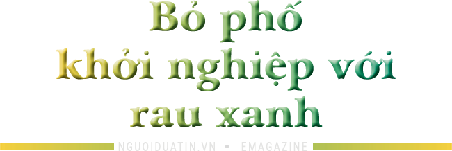 Khát vọng lớn của chị Hai lúa xứ Nghệ