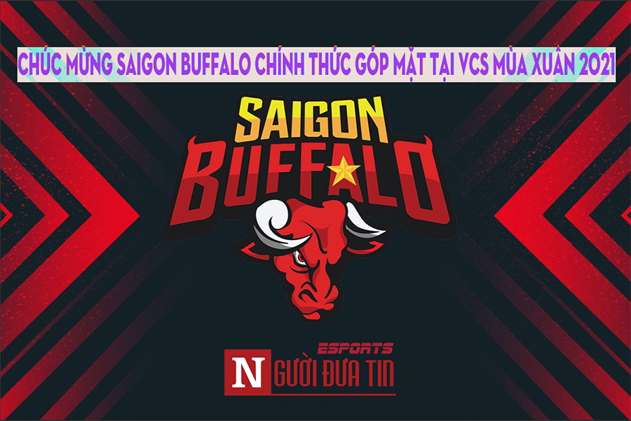 Thể thao - Saigon Buffalo chính thức góp mặt VCS mùa xuân 2021