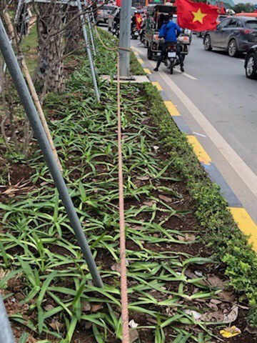 Xã hội - Hàng loạt cây xanh ở Hà Nội bị biển người giẫm nát (Hình 7).