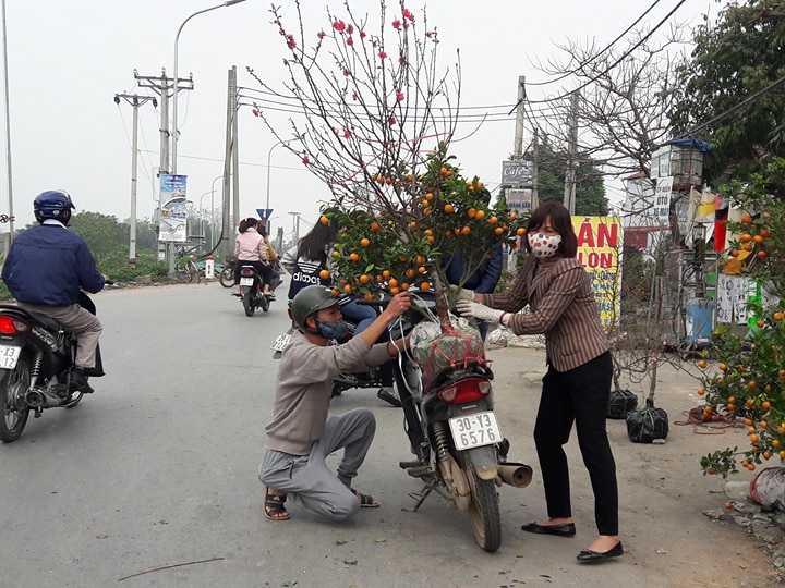 Xã hội - Hà Nội: Quất, đào chiều 30 Tết giá rẻ như cho, trả bằng nào cũng bán (Hình 2).