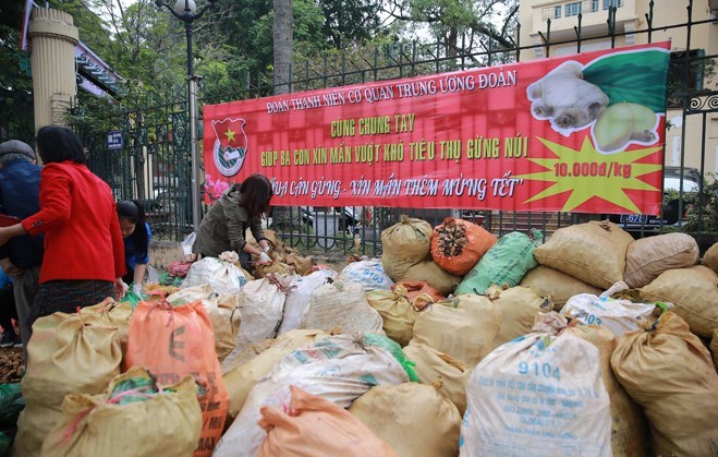 Nông dân về đâu với nền nông nghiệp mùa nào 'giải cứu' thức đó? (Hình 2).