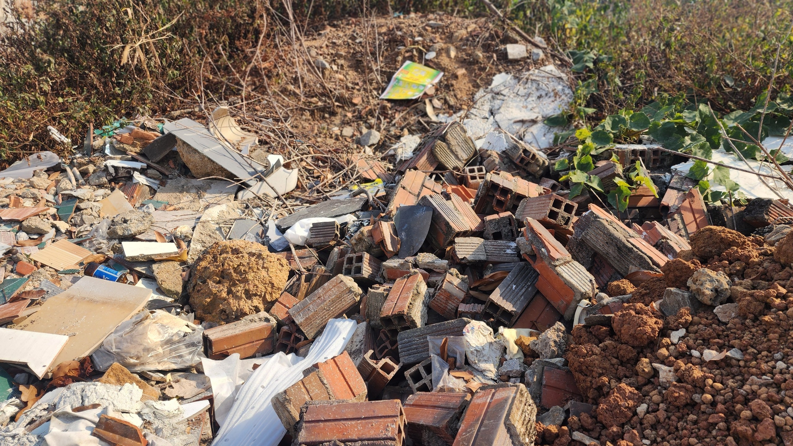 Môi trường - Bình Phước: Ô nhiễm vì bãi rác gần trường học và khu dân cư (Hình 7).