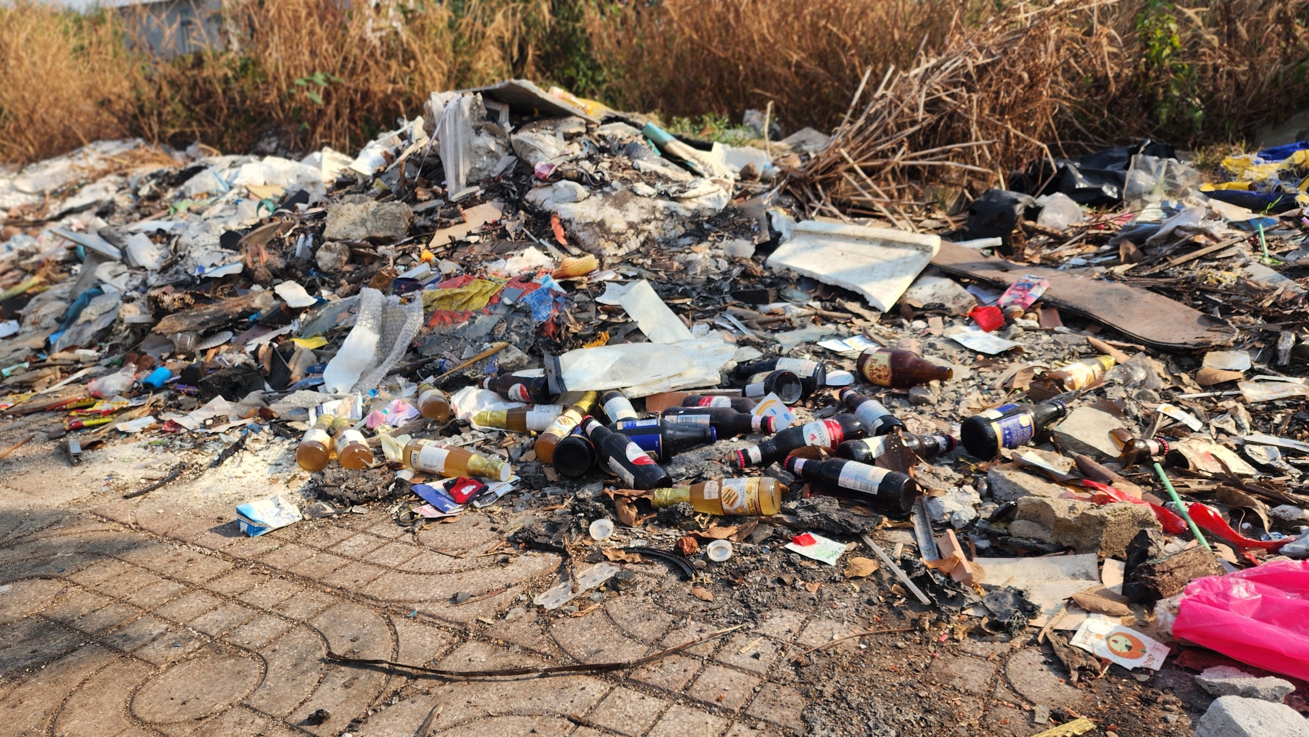 Môi trường - Bình Phước: Ô nhiễm vì bãi rác gần trường học và khu dân cư (Hình 9).