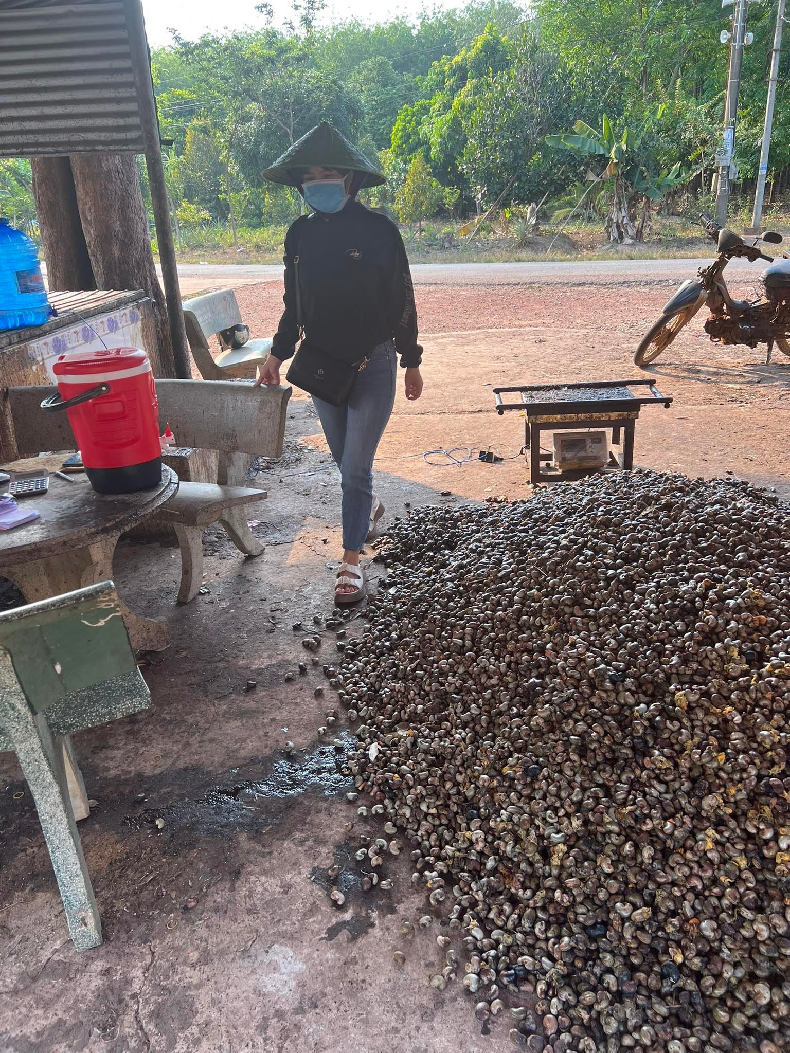 Tiêu dùng & Dư luận - Bình Phước: Nông dân gặp khó vì điều mất mùa, giá giảm sâu  (Hình 3).