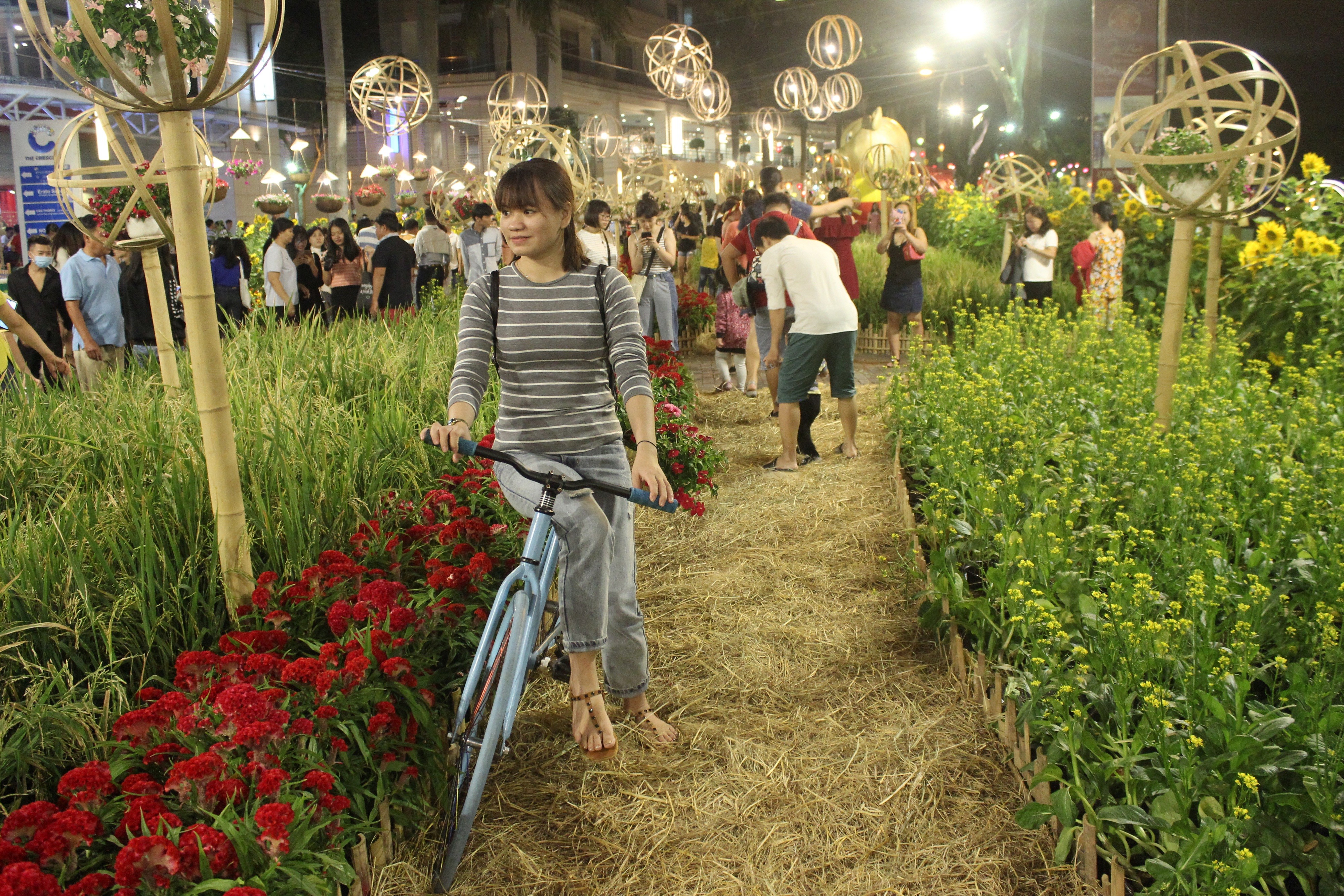 Tin nhanh - Tưng bừng khai mạc hội chợ Hoa Xuân Phú Mỹ Hưng (Hình 4).