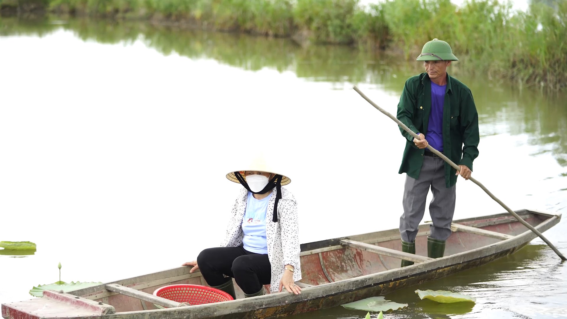 Môi trường - Hai vợ chồng hơn 5 năm “cưu mang” chim trời ở Hạc Hải