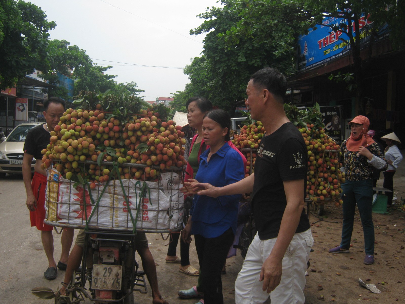 Vải Lục Ngạn rớt giá thê thảm, nông dân khóc ròng, lợi nhuận chảy vào túi ai? (Hình 7).