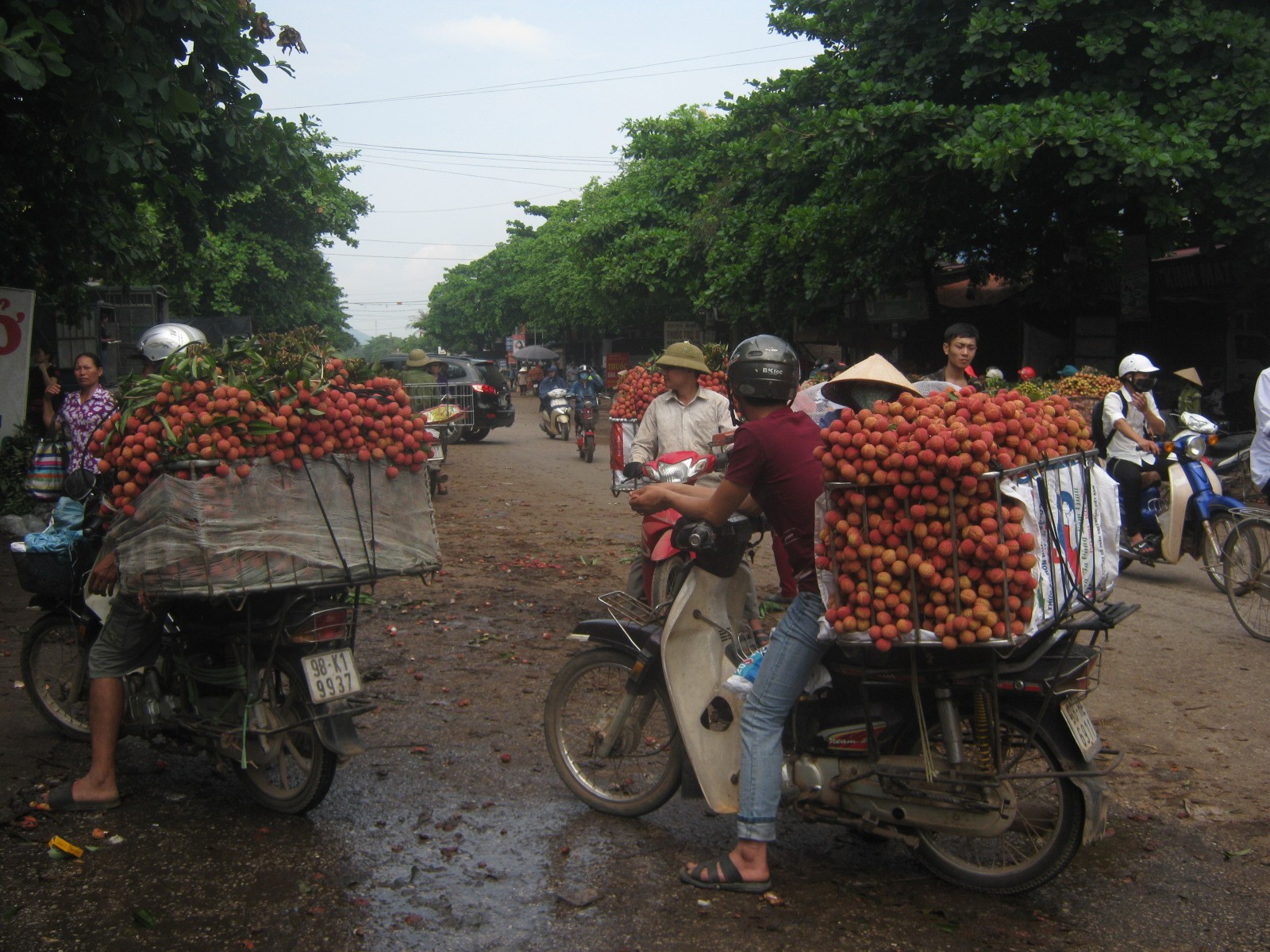 Bắc Giang công bố người phát ngôn và 'đường dây nóng' về vải thiều (Hình 2).