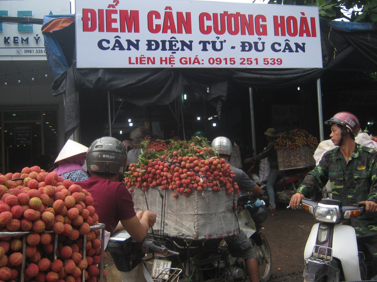 Vải Lục Ngạn rớt giá thê thảm, nông dân khóc ròng, lợi nhuận chảy vào túi ai? (Hình 6).