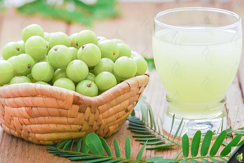 Dinh dưỡng - Dược tính chữa bệnh của quả Amla Ấn Độ