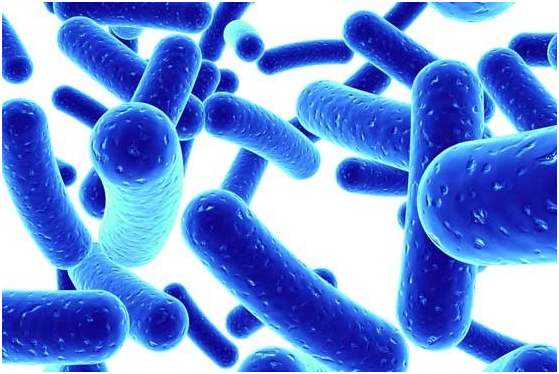 Học người Nhật c&aacute;ch cải thiện vi&ecirc;m đại tr&agrave;ng hiệu quả (H&igrave;nh 2).