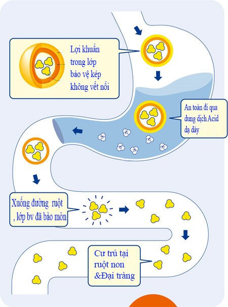 Bí kíp giúp người Nhật hỗ trợ điều trị viêm đại tràng hiệu quả (Hình 3).