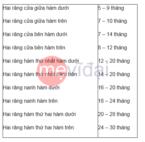 Lịch mọc răng cho bé chuẩn nhất mẹ bỉm sữa nên biết (Hình 2).