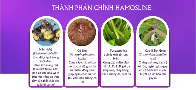 Đánh tan mỡ bụng bằng thảo dược quý cho dân văn phòng (Hình 4).