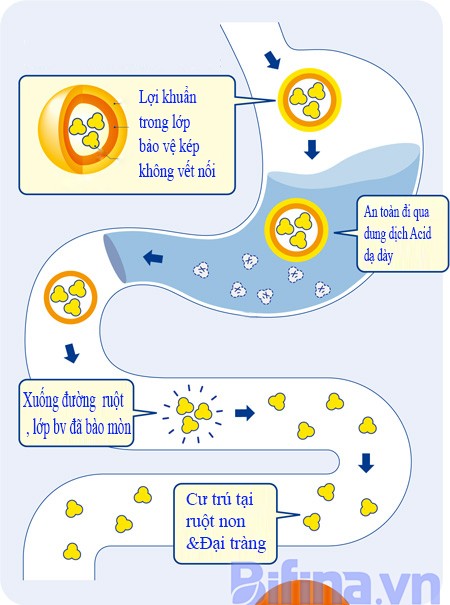 Người Nhật tiết lộ cách cải thiện rối loạn tiêu hóa do uống rượu bia (Hình 3).