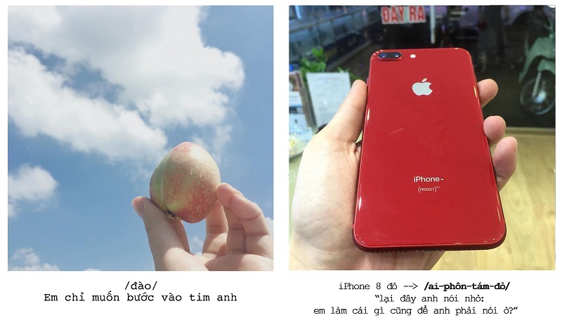 Tín đồ Apple đáp trả lời tỏ tình của thánh thả thính crush bằng hoa quả chất lừ (Hình 4).