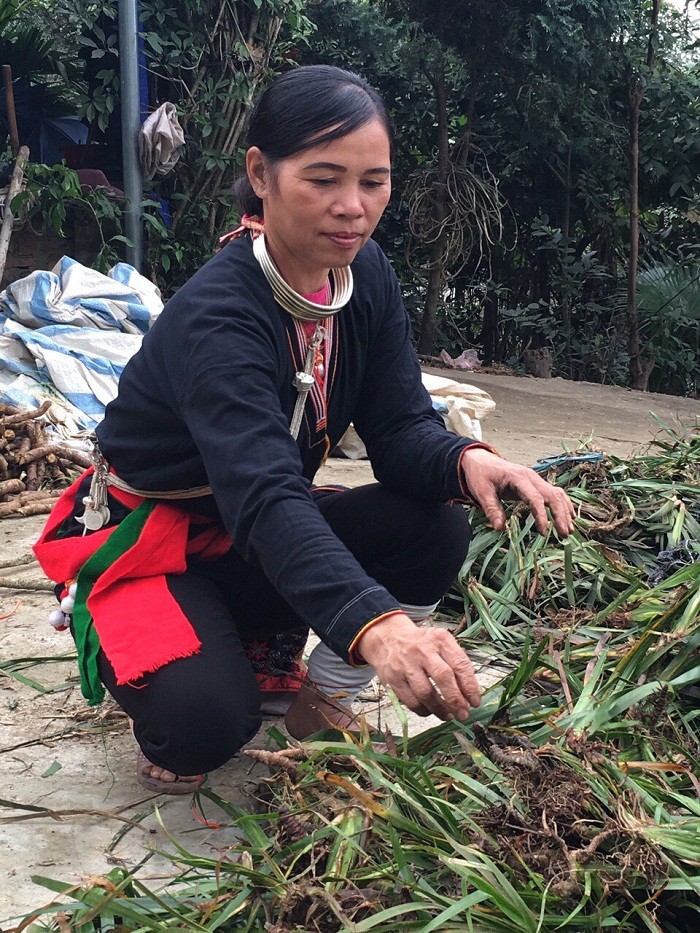 Lương y Triệu Thị H&ograve;a &ndash; &ldquo;Thần y&rdquo; trị b&ecirc;̣nh xương khớp