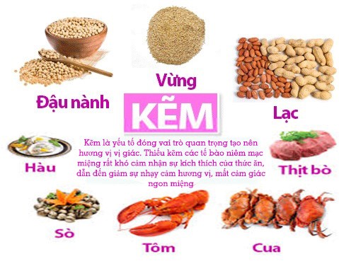 Cần biết - Làm sao để trẻ biếng ăn phát triển bắt kịp đà tăng trưởng? (Hình 2).