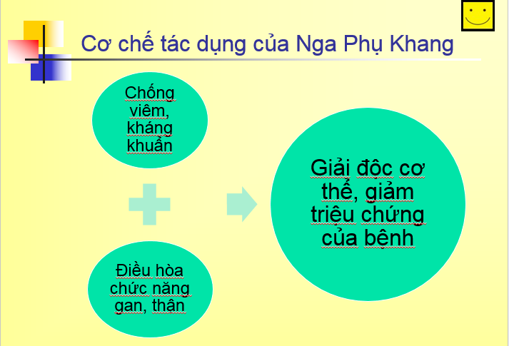 Sức khỏe - Thảo dược Nga Phụ Khang giúp hỗ trợ chữa u nang buồng trứng không cần mổ (Hình 5).