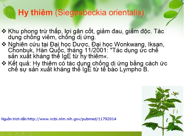 Sức khỏe - Viêm khớp hành hạ 40 năm sống khổ hơn chết, bất ngờ khỏi sau 2 tháng (Hình 3).