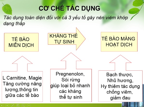 Sức khỏe - Viêm khớp hành hạ 40 năm sống khổ hơn chết, bất ngờ khỏi sau 2 tháng (Hình 5).