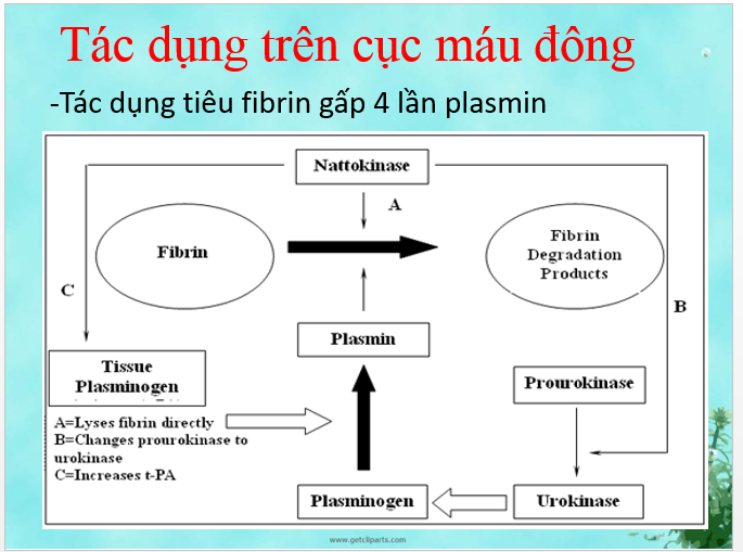 Sức khỏe - Từ liệt nửa người do tai biến mạch máu não: Tôi phục hồi gần 100% (Hình 4).