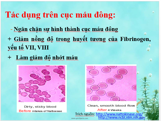 Sức khỏe - Từ liệt nửa người do tai biến mạch máu não: Tôi phục hồi gần 100% (Hình 5).