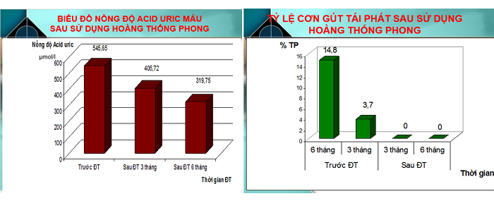 Sức khỏe - Đau tới 'chết đi sống lại' vì bệnh gút, tôi đã chiến thắng sau 3 tháng (Hình 8).