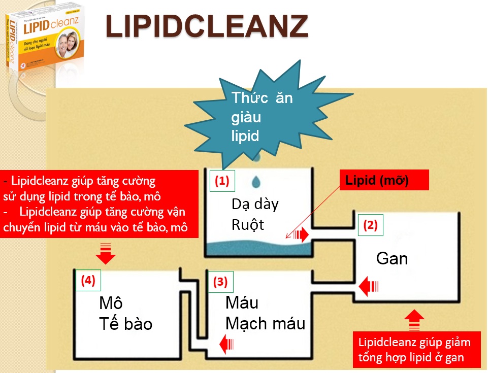 Sức khỏe - Điều trị máu nhiễm mỡ “thần tốc” bằng lá sen và tỏi - Bạn đã thử chưa? (Hình 6).