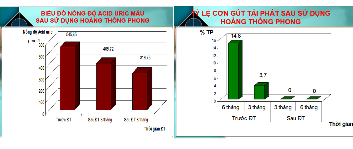 Sức khỏe - Kinh nghiệm cải thiện đau gút sau 2 tháng của thầy giáo 70 tuổi (Hình 9).