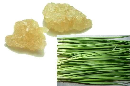 Thương hiệu - Mách mẹ bài thuốc chữa viêm họng cho trẻ sơ sinh ngay tại nhà (Hình 4).