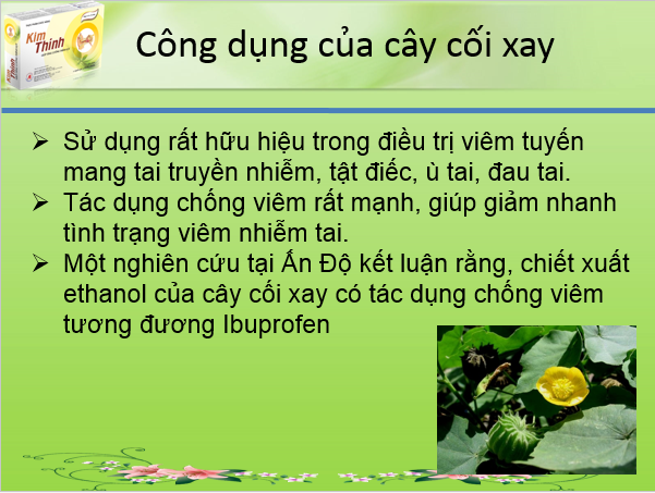 Sức khỏe - Bí quyết cải thiện điếc đột ngột sau 3 tháng của cụ ông 68 tuổi (Hình 5).