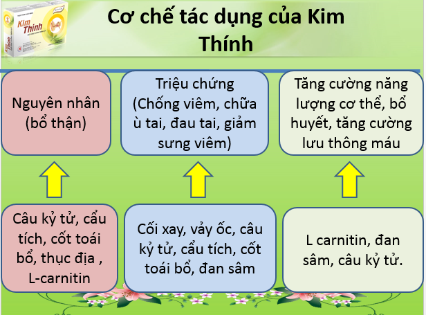 Sức khỏe - Bí quyết cải thiện điếc đột ngột sau 3 tháng của cụ ông 68 tuổi (Hình 7).