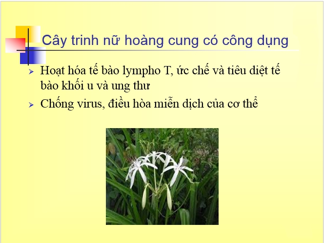 Sức khỏe - Đau bụng quằn quại, rong kinh kéo dài tới 20 ngày mỗi tháng vì u xơ tử cung 66mm (Hình 3).