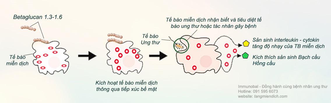 Thương hiệu - Phương pháp điều trị và giải pháp hỗ trợ hiệu quả cho bệnh nhân ung thư (Hình 5).