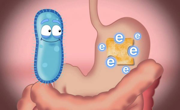 Thương hiệu - Làm sao để người mắc hội chứng ruột kích thích yên tâm ăn Tết? (Hình 2).