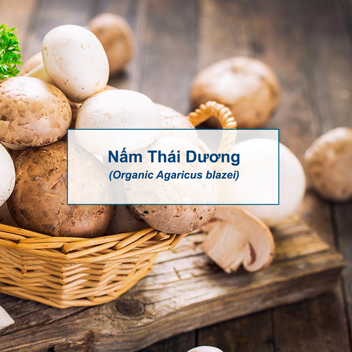 Thương hiệu - Immunobal và đánh giá về tác dụng của từng thành phần từ chuyên gia (Hình 2).